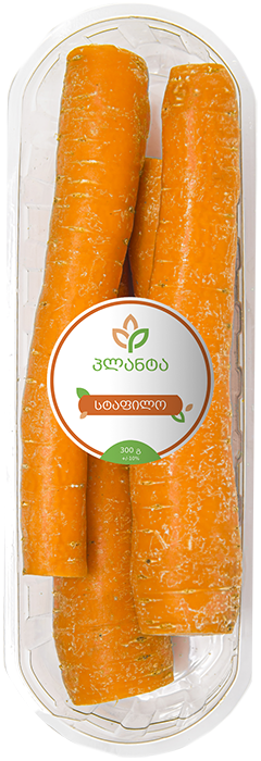 სტაფილო