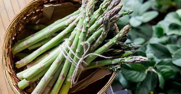 სატაცური – ანტიოქსიდანტებისა და უჯრედისის მდიდარი წყარო