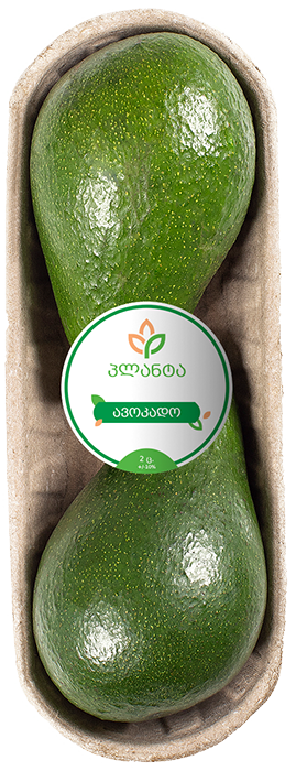 ავოკადო