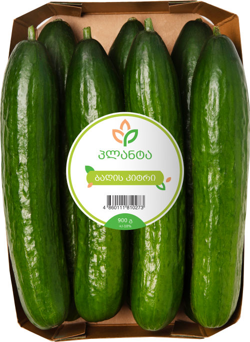 ბაღის კიტრი