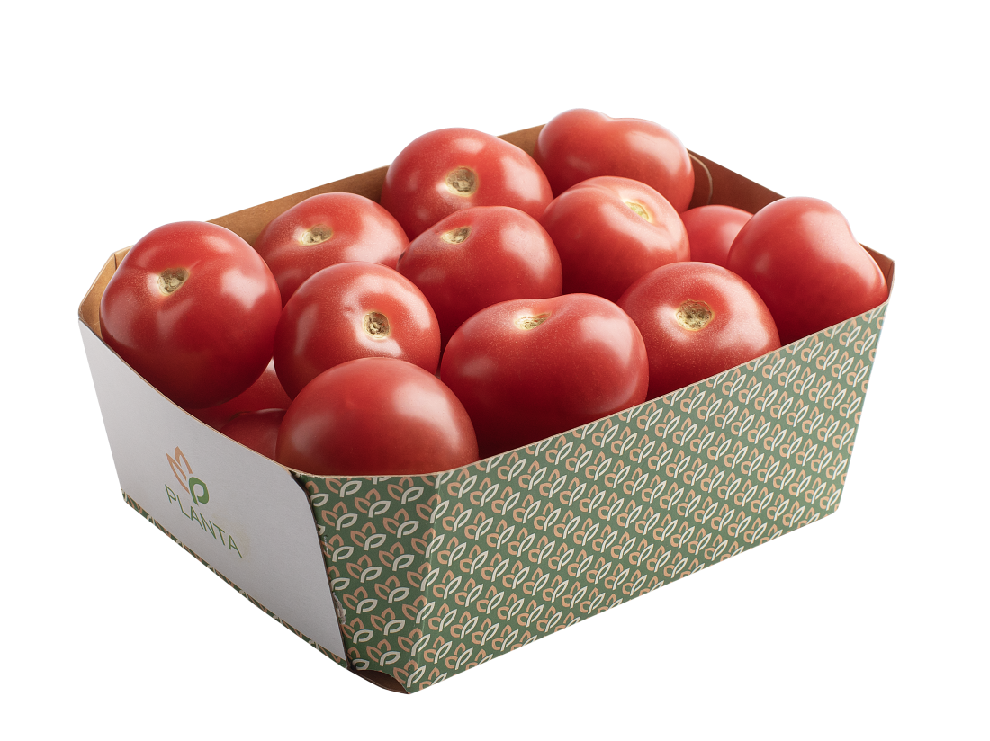 კოქტეილ პომიდორი