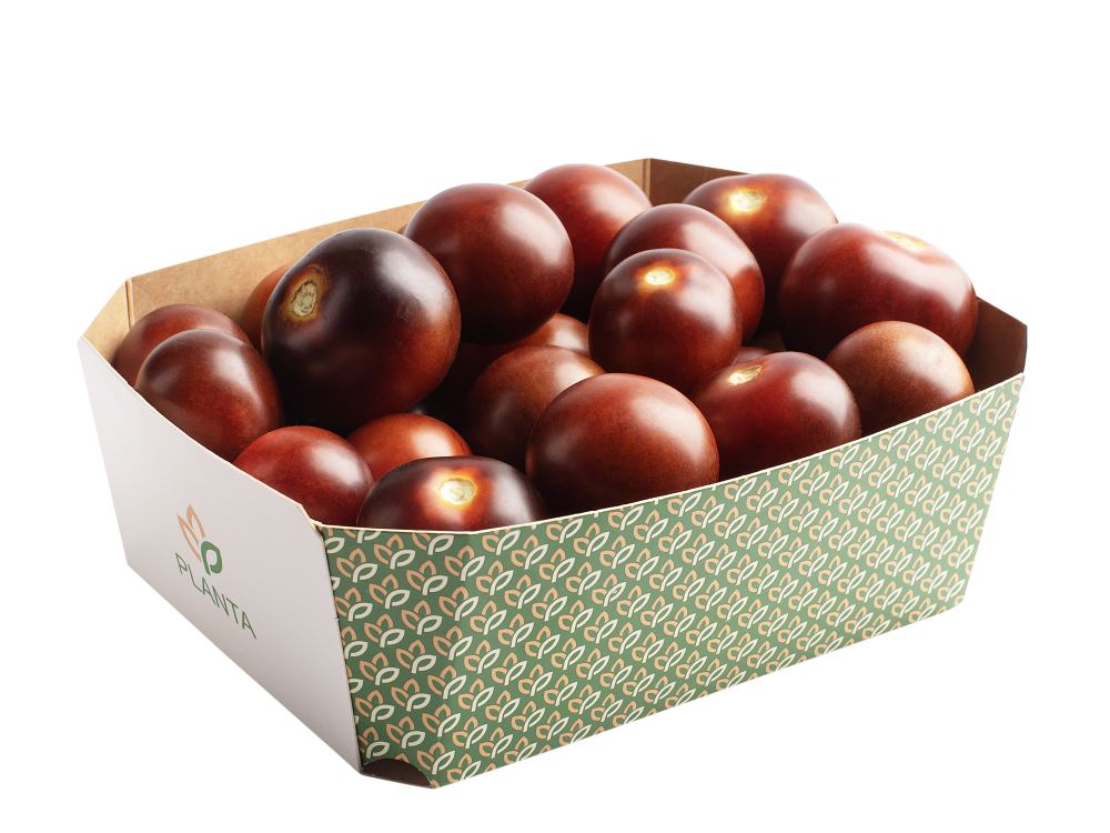 კოქტეილ პომიდორი იუმი