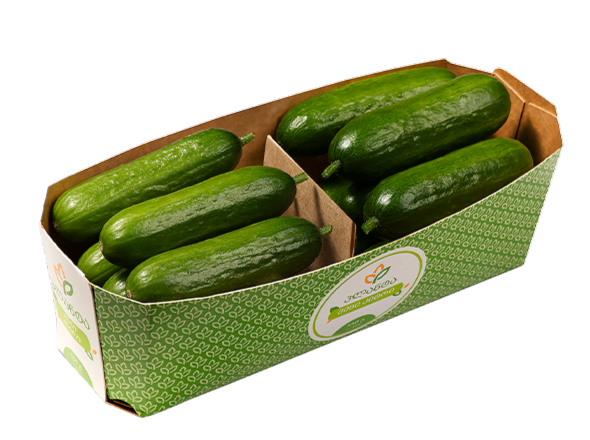 მინი კიტრი