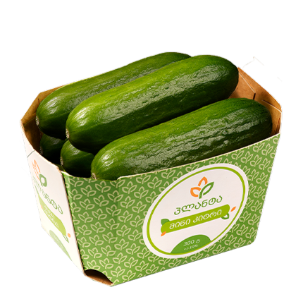 მინი კიტრი