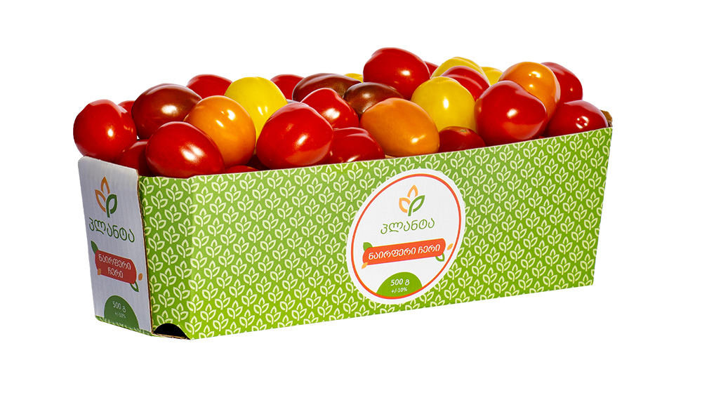 ნაირფერი ჩერი პომიდორი