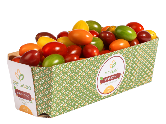 მინი ჩერი